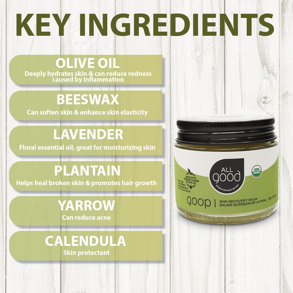 All Good Goop Recovery Balm lip-care moisturizing balm for dry lips