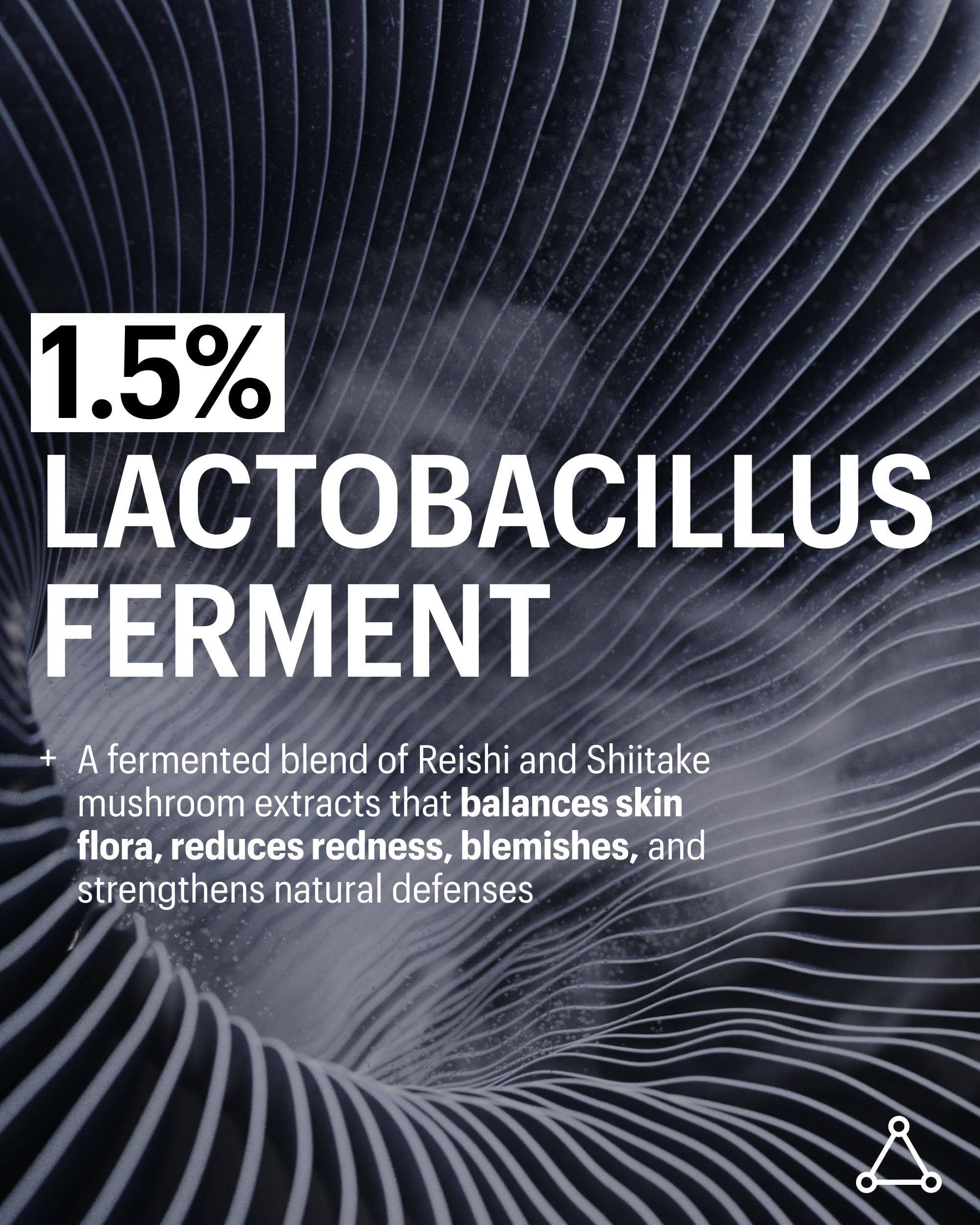 Ingredients highlight featuring Niacinamide and Lactobacillus Ferment