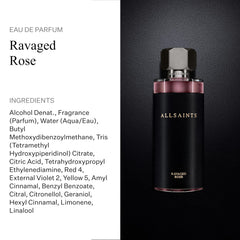 AllSaints Ravaged Rose close-up of rose bloom highlighting floral notes.
