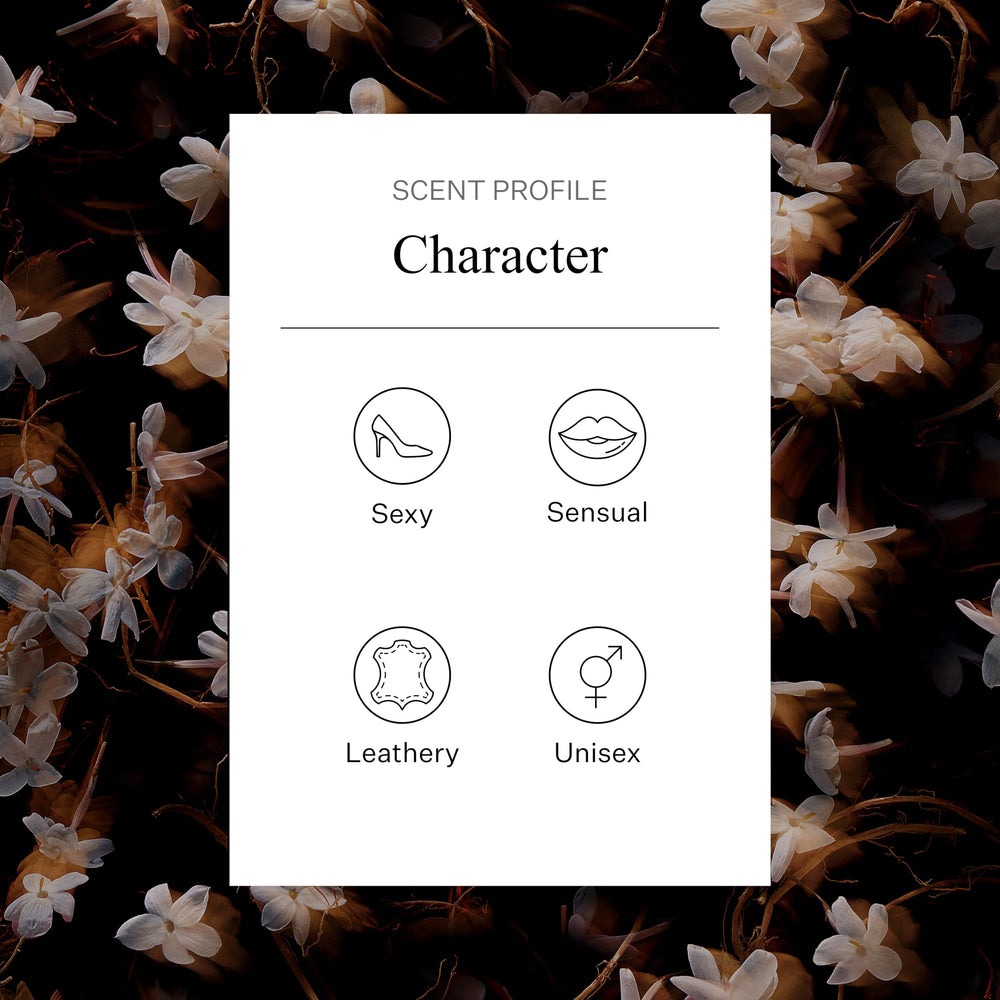 AllSaints Shoreditch Leather EDP moody amber tone suggests lasting warmth