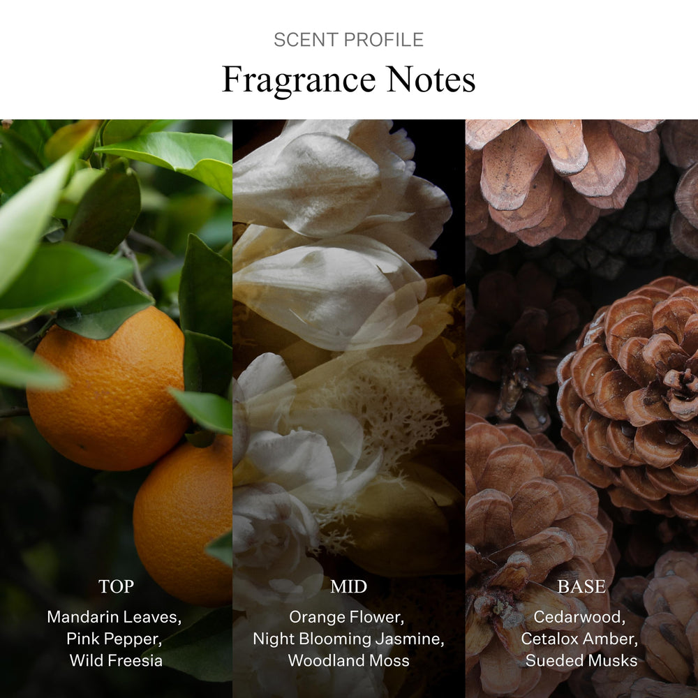 AllSaints Sunset Riot Intense cedar and musk for a modern balance