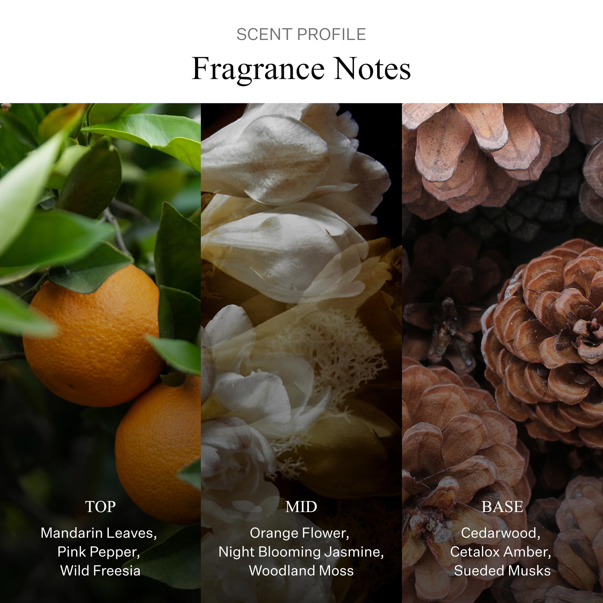 AllSaints Sunset Riot Intense amber note closeup evokes warmth for nights.
