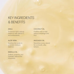 Close-up of Alo Shine Shampoo bottle highlighting frizz defense and soft hair.
