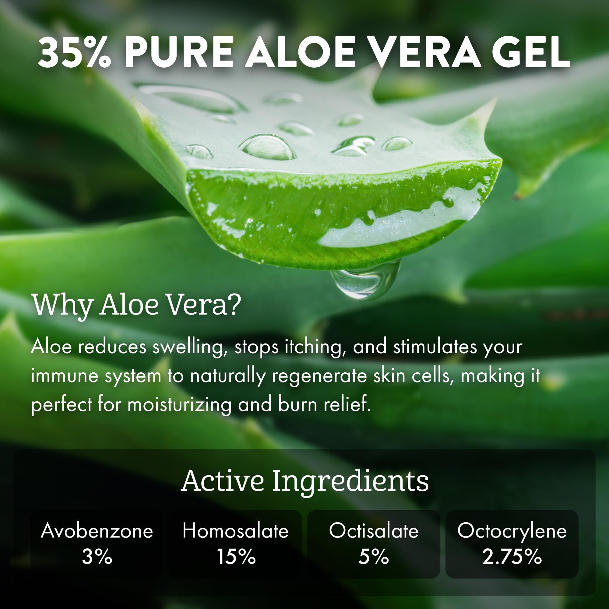 Aloe Up sunscreen absorption closeup shows silky, non-greasy finish.