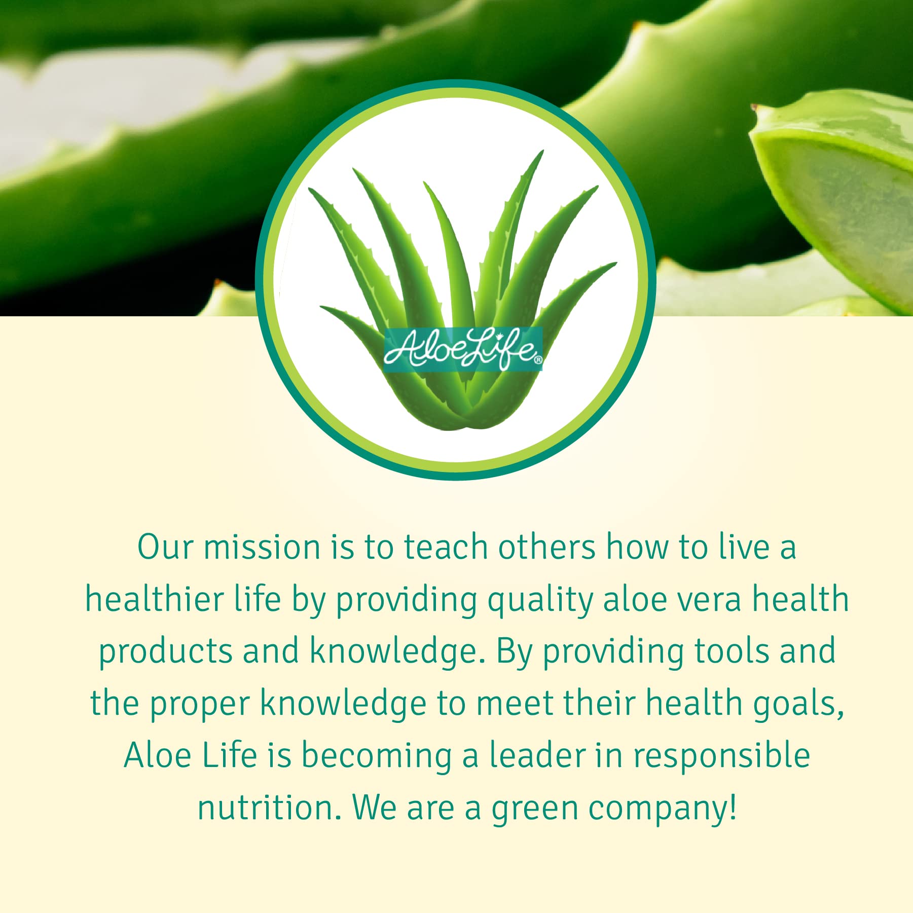 Family-friendly Aloe Life 4 oz bottle supports everyday skin care.