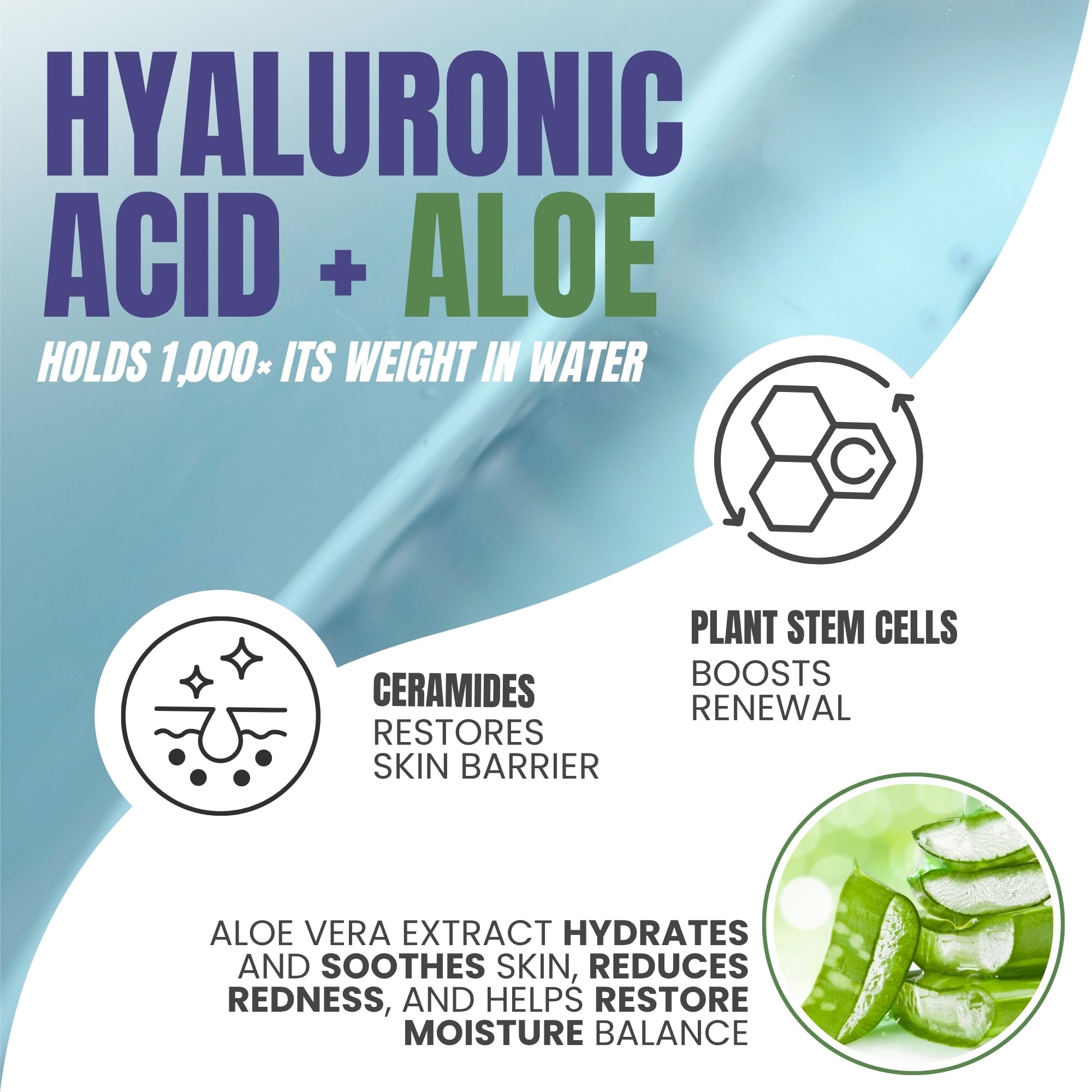 Alozera ceramides aloe stem cells formula bottle highlighting barrier support and skin softness