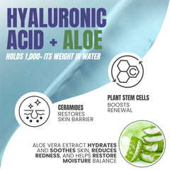Alozera ceramides aloe stem cells formula bottle highlighting barrier support and skin softness
