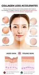 ALPAIS cream pump reveals easy, precise day and night application.