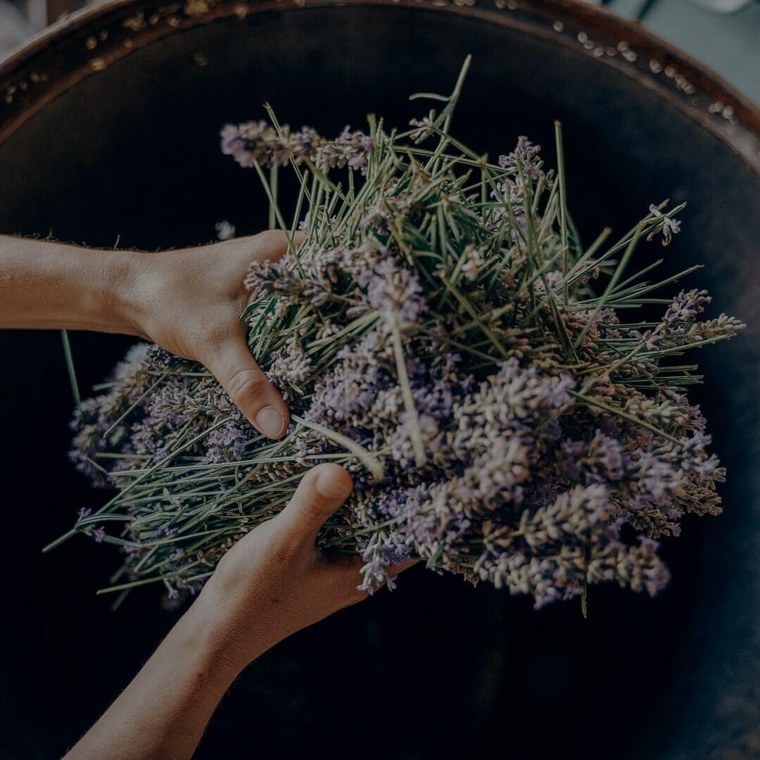 Alpine Provisions aloe-coconut moisture highlights deep hydration for daily use.