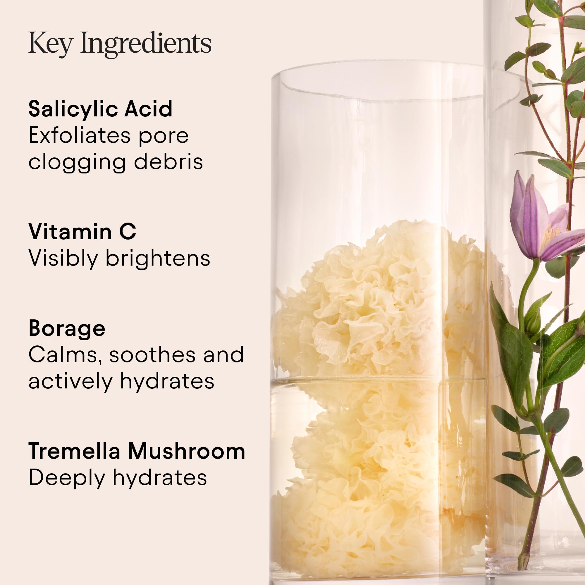 Alpyn Beauty Pore Toner bottle with wild plant imagery and clean design.