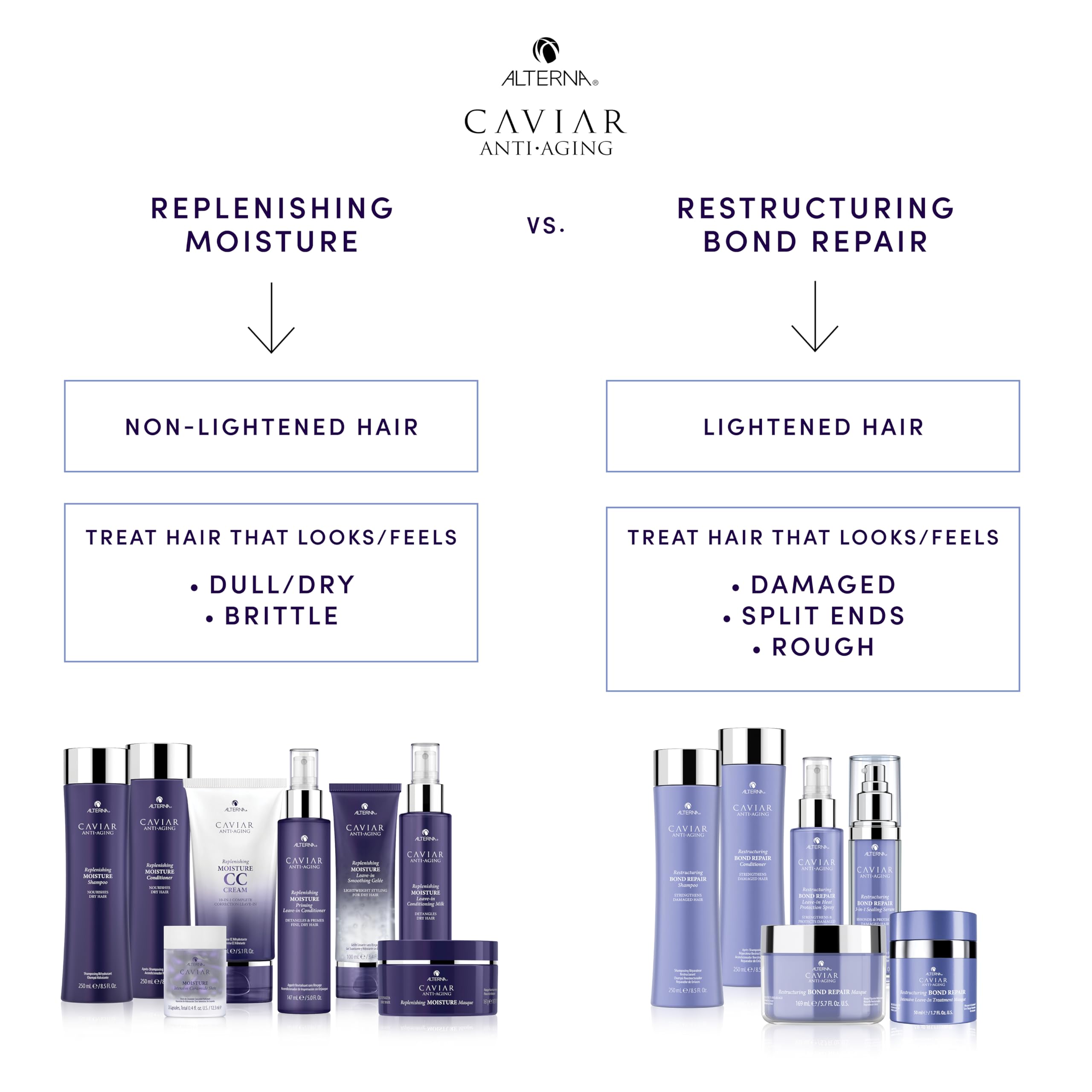 Graphic illustrating heat protection up to 450 degrees for Alterna products.