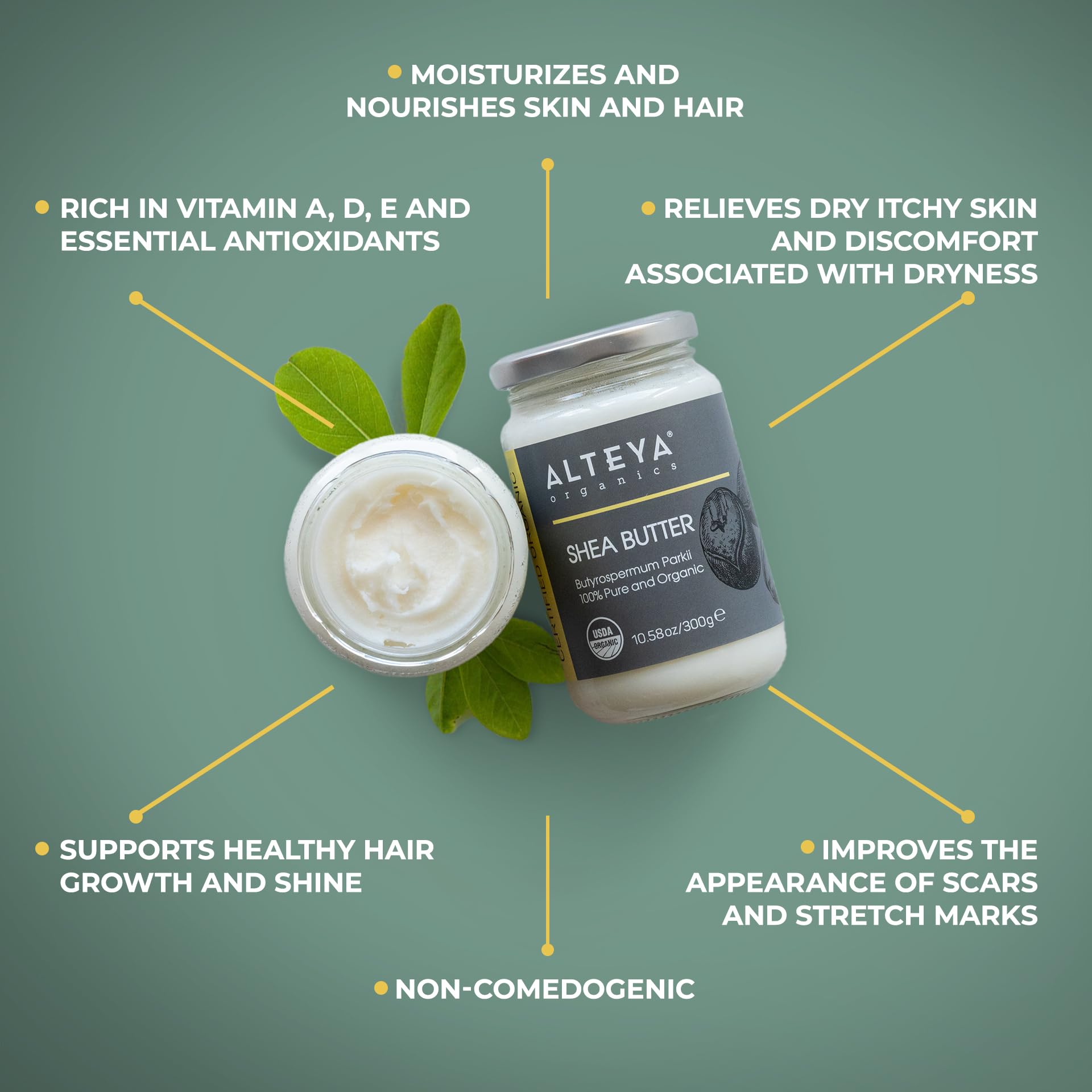 Alteya Organics shea butter creamy texture ready for skin or hair care