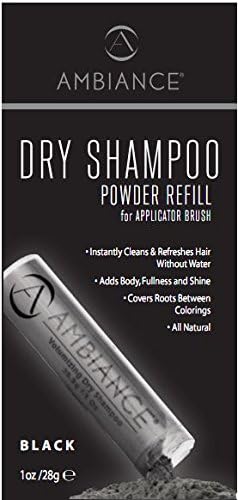 Ambiance dry shampoo application brush for precise root application