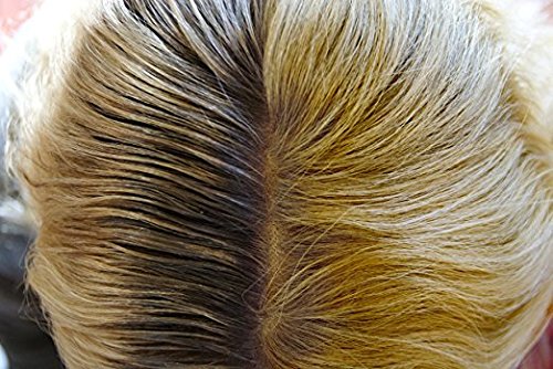 Ambiance Dry Shampoo applicator brush image highlights quick mess-free root refresh.
