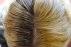 Ambiance Dry Shampoo applicator brush image highlights quick mess-free root refresh.