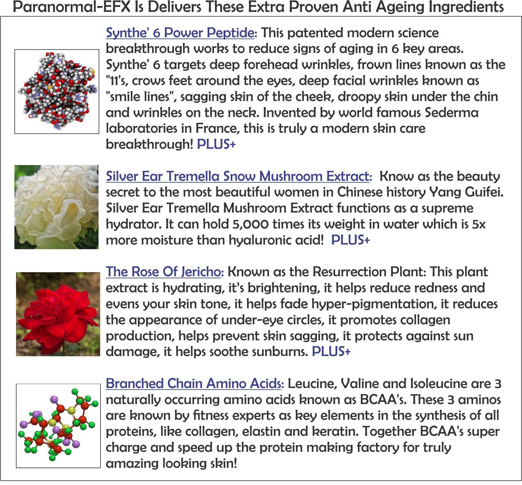 AminoGenesis ParanormalEFX routine setup for daily anti-aging care.
