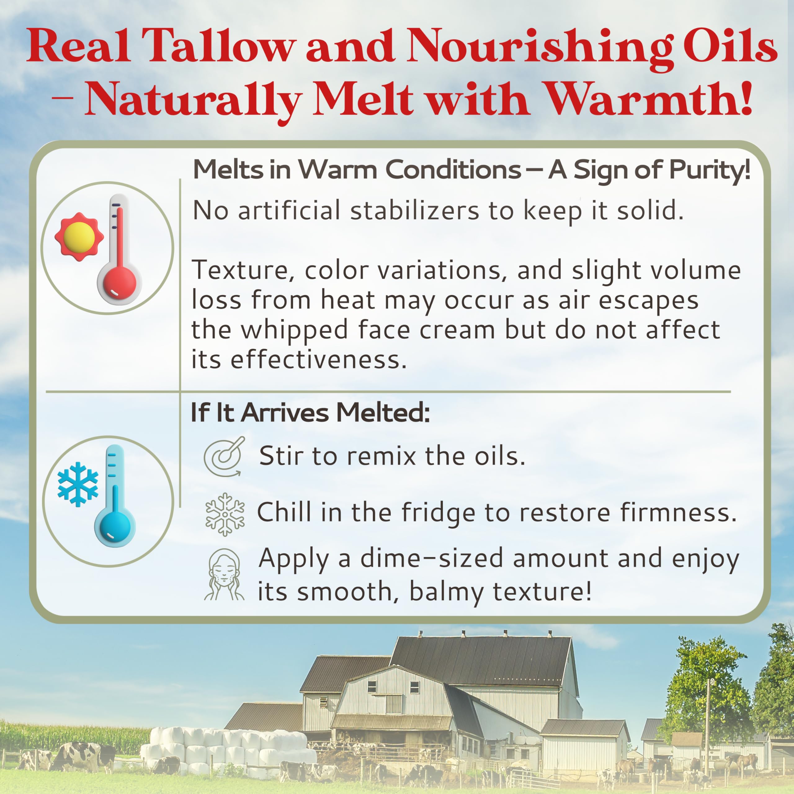 Amish Farms Tallow Face Cream texture appears rich and creamy for smooth application