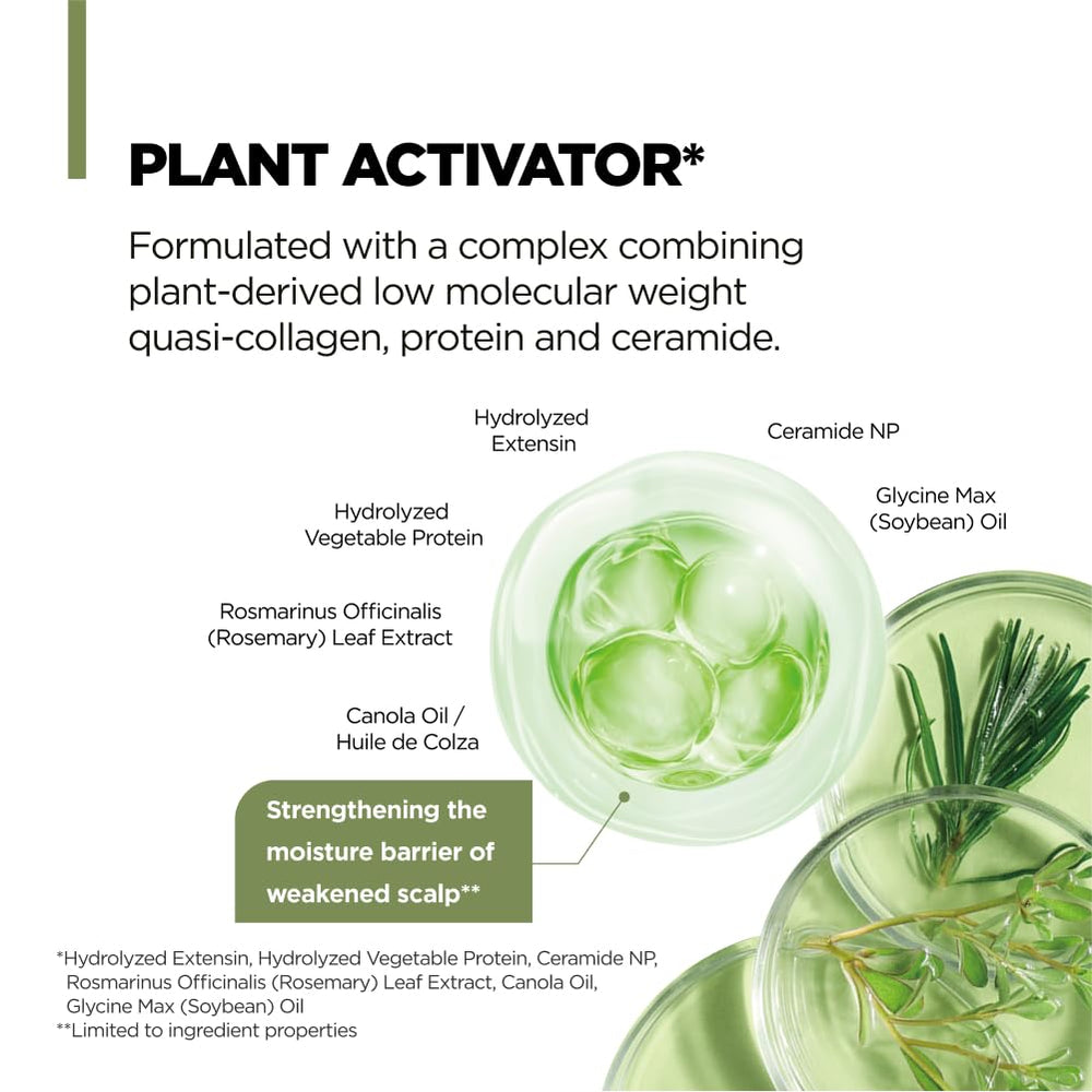 Fresh ginger root beside AMOS PROFESSIONAL Botanic Calm Scalp Serum suggesting soothing moisture.