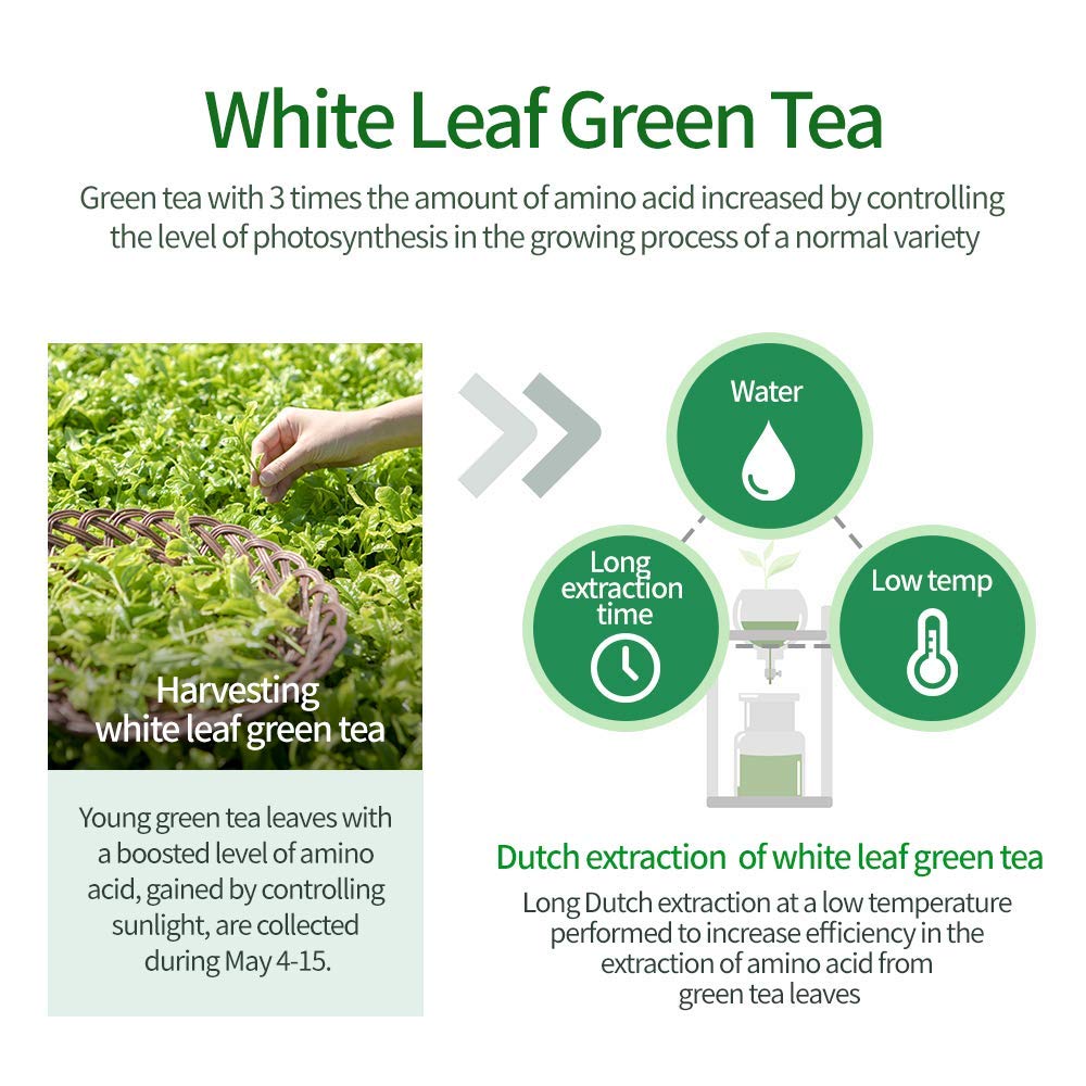 AMOS PROFESSIONAL Green Tea Shampoo packaging signals salon-grade care from a trusted brand.