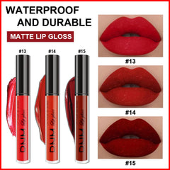AMY'S DIARY matte finish swatch shows rich, even pigment.