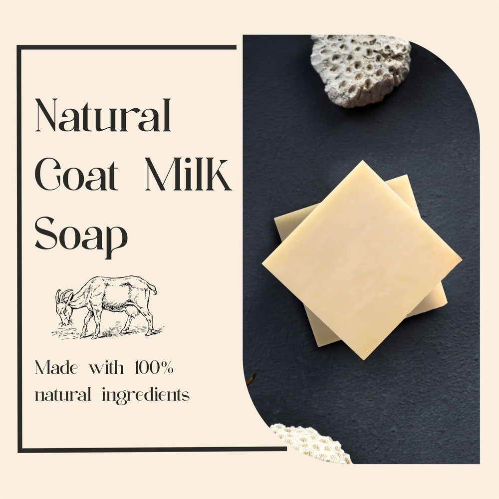 AnatoliaDaphne goat milk body wash lather demonstrating gentle cleansing for daily use