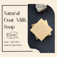AnatoliaDaphne goat milk body wash lather demonstrating gentle cleansing for daily use