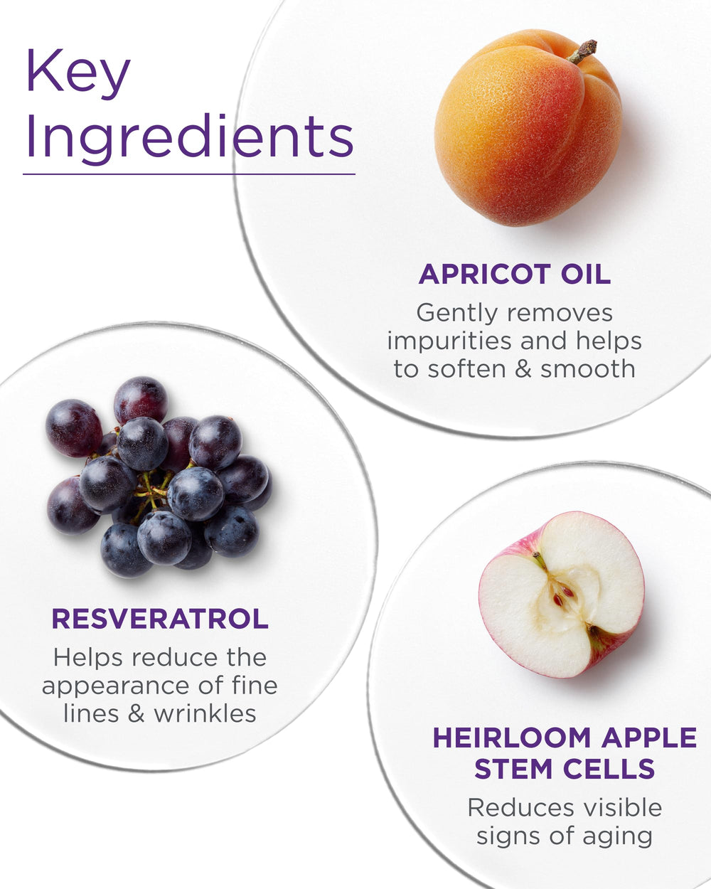 Andalou Naturals Apricot Probiotic Cleansing Milk face cleansing in practice.