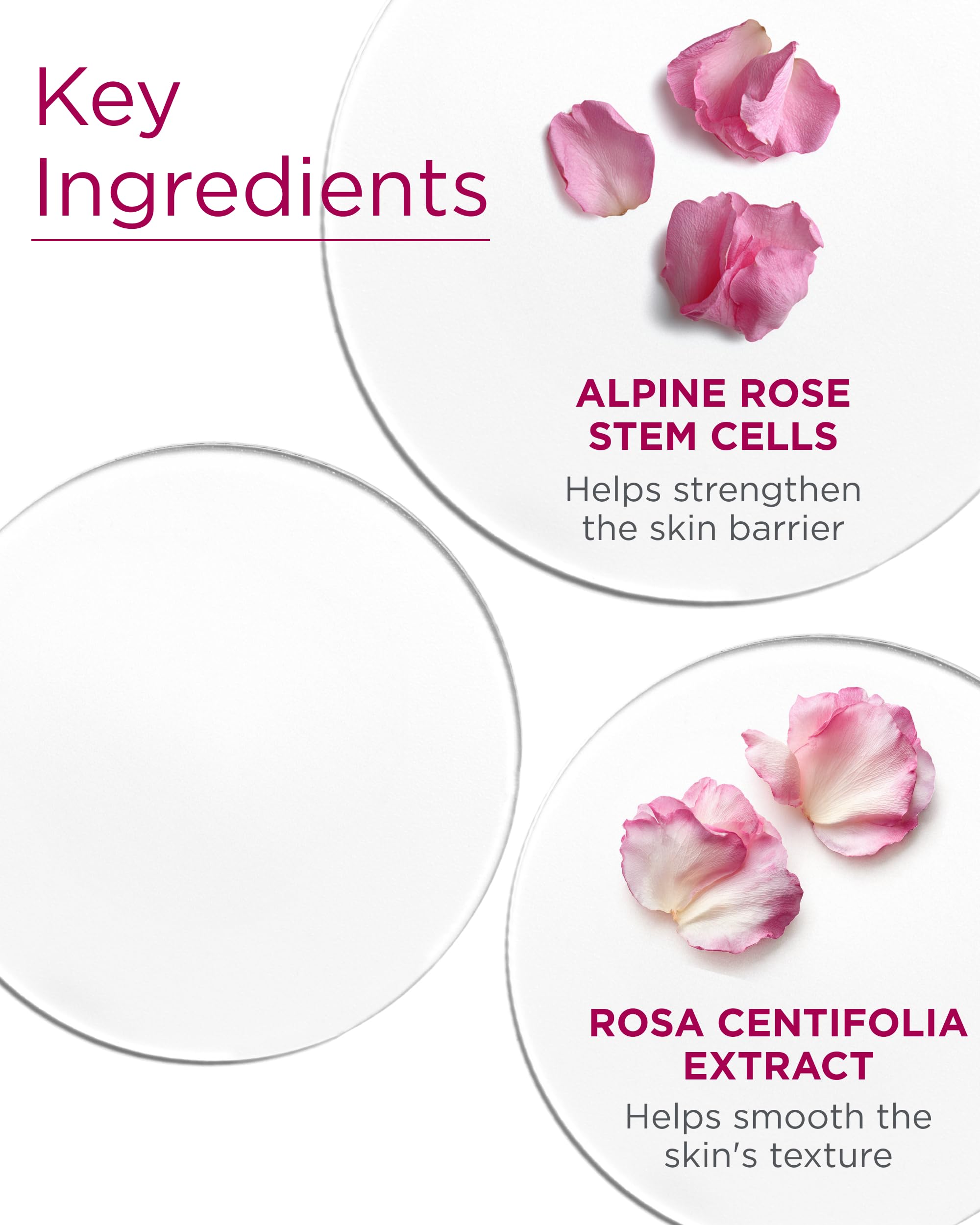 Andalou Naturals Lightweight Day Cream glides on with a silky finish.
