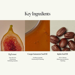 ANILLO Fig Whisky Hydrating Body Oil arm application on skin offers daily nourishment.