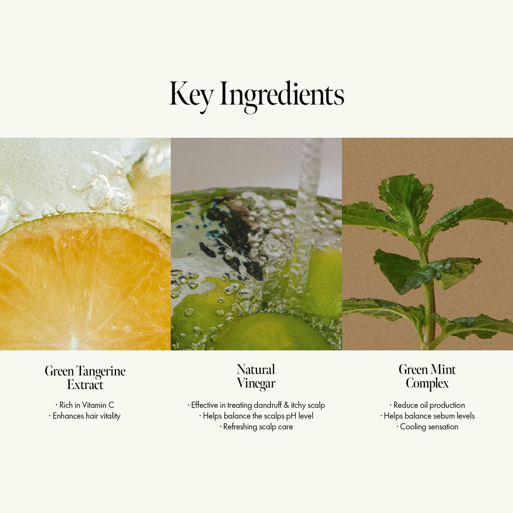 ANILLO Lime Sunday Refresh features Green Mint Complex for a cooling, refreshing scalp.