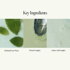 ANILLO Patchouli Garden mask texture closeup shows creamy, hydrating formula for smoother hair