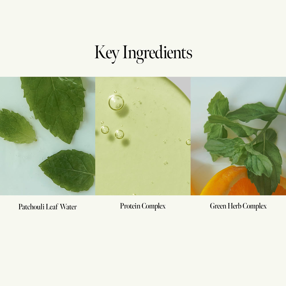 ANILLO protein complex supports stronger strands for daily use.
