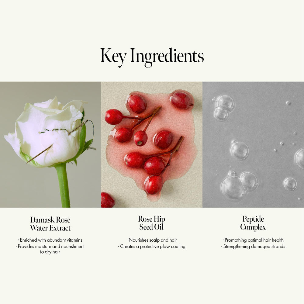 ANILLO Rosy Night close-up highlighting Damask Rose Extract feature