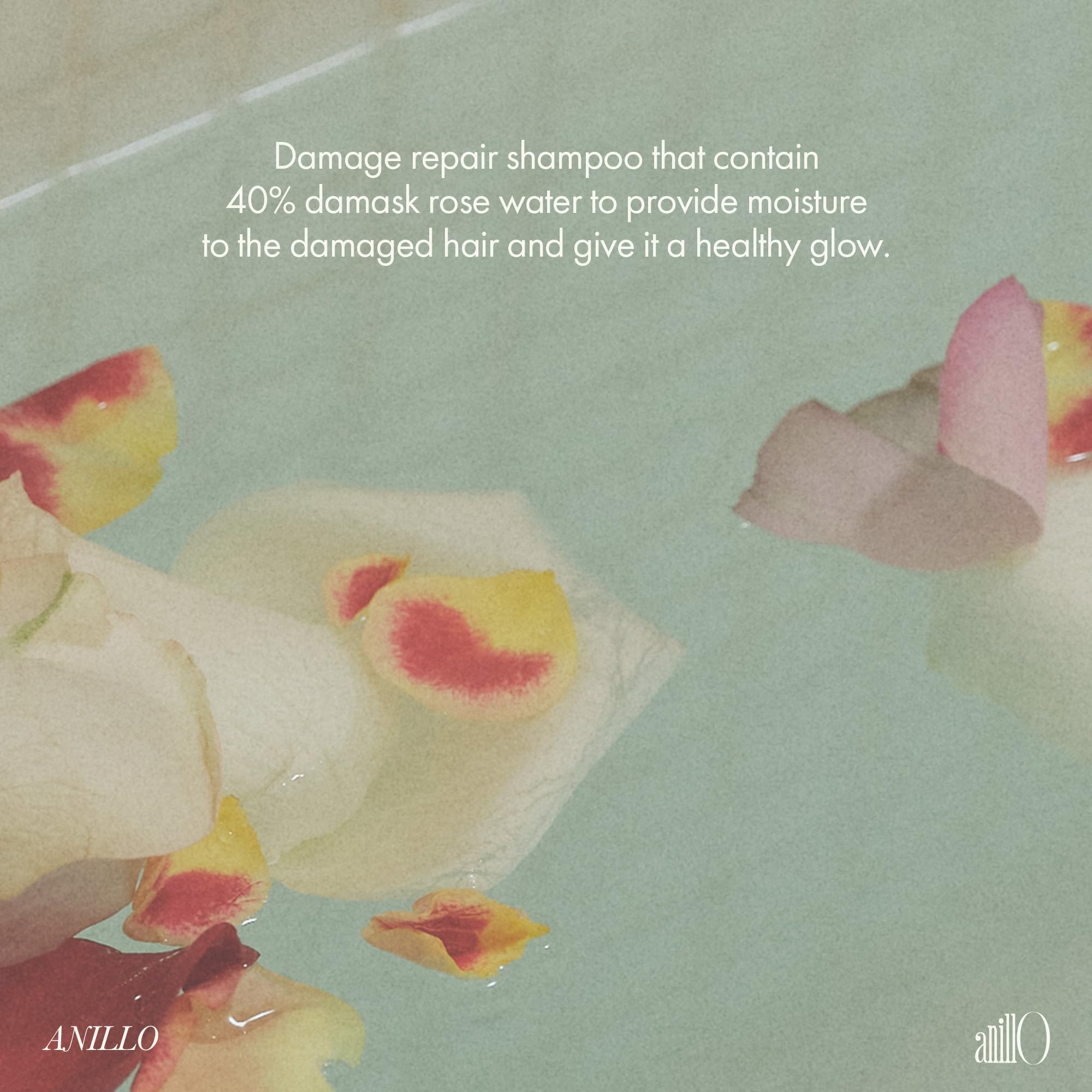 ANILLO Rosy Night Repair Shampoo on shelf, color-safe and cruelty-free.