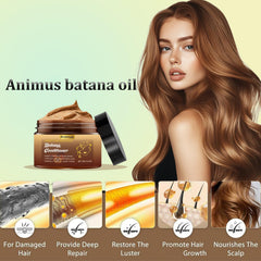 Animus Batana Oil scalp massage showing deep conditioning potential.