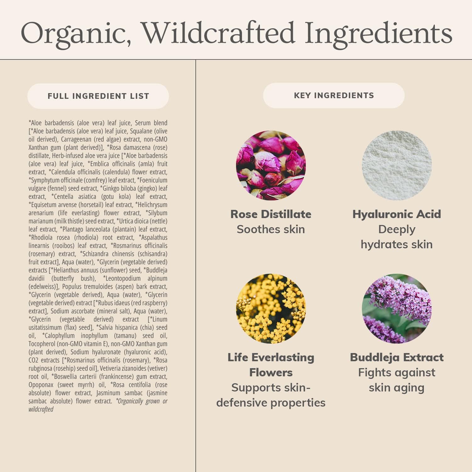 Annmarie Anti-Aging Serum bottle with edelweiss elements suggests environmental resilience.
