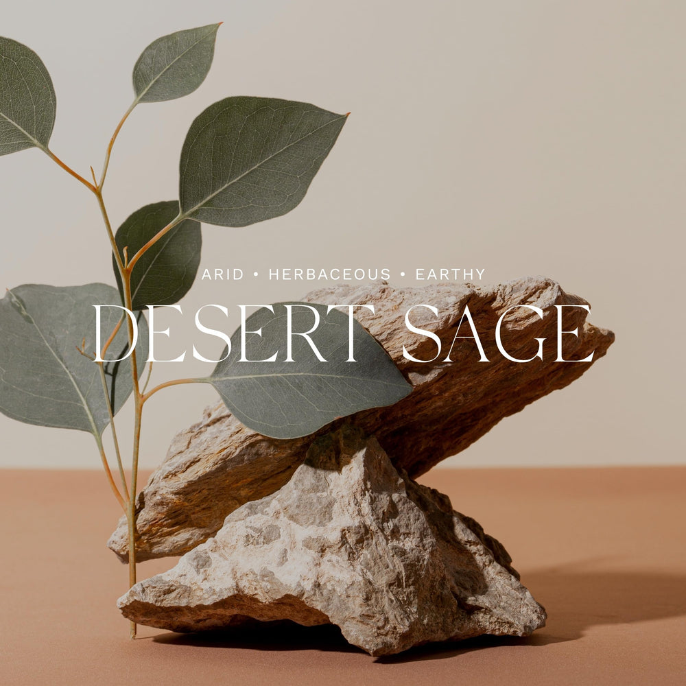 Antica Farmacista Desert Sage lather close-up with silky foam