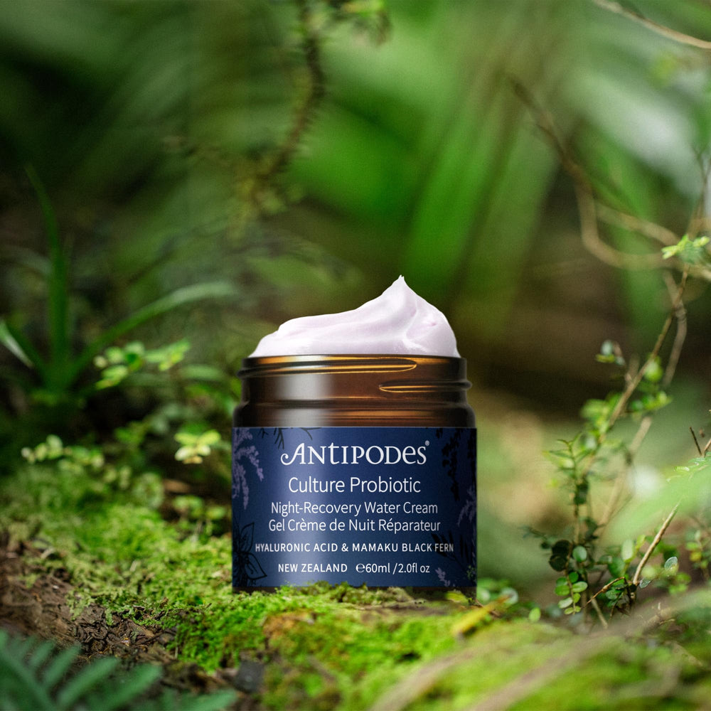 Antipodes Culture Probiotic Night Recovery Water Cream bottle with label emphasizes hyaluronic acid benefits.