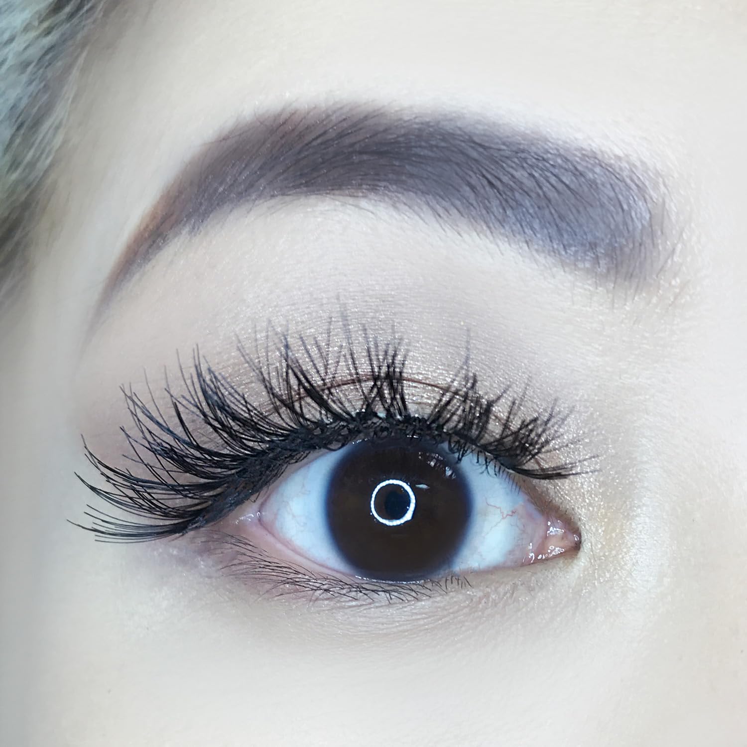 AOA Studio Alexis lashes 6-pairs set, versatile styling options.