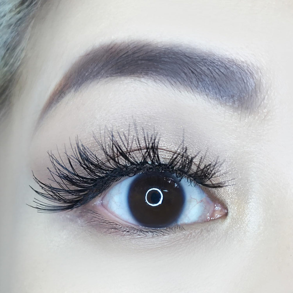 AOA Studio Alexis lashes 6-pairs set, versatile styling options.