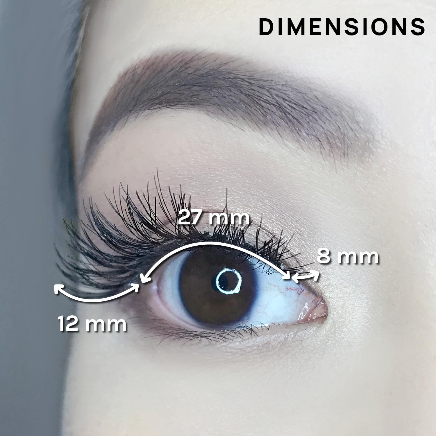 AOA Studio Alexis lashes natural volume on eye, lightweight comfort.