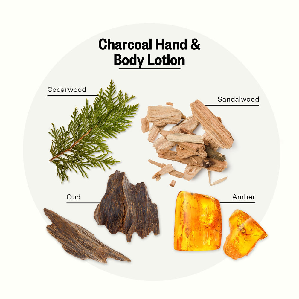 APOTHEKE Charcoal lotion applied on skin for fast-absorbing moisture