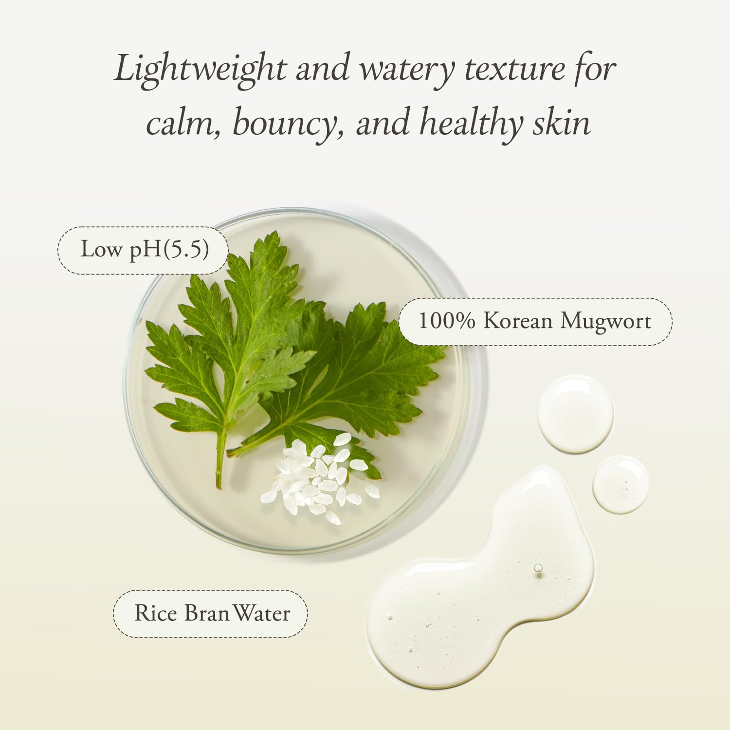 APRILSKIN Artemisia toner on cotton pad for gentle application