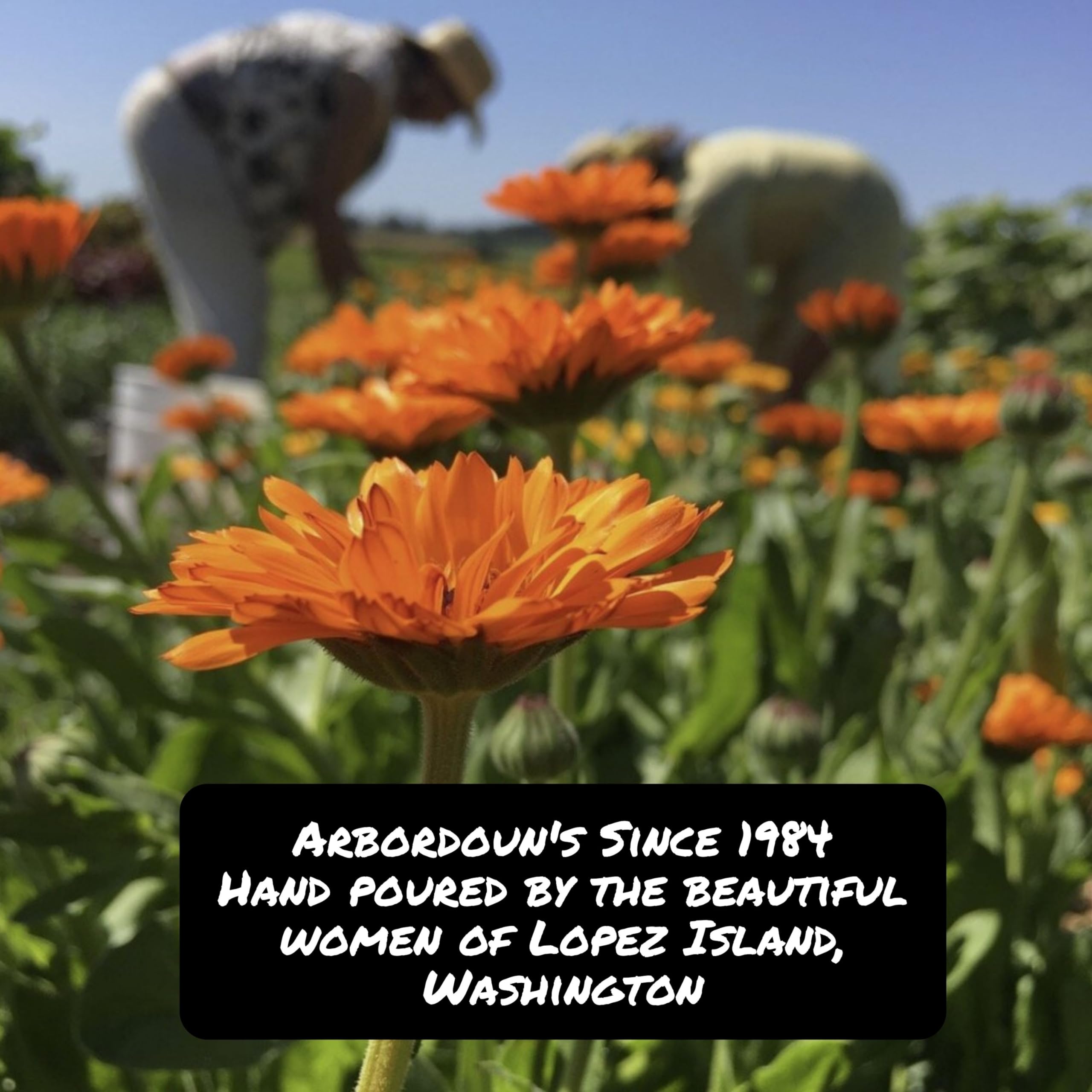 Lopez Island farm origins—Arbordoun Calendula Cream ingredients.