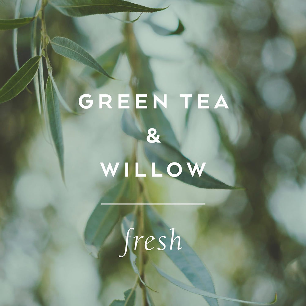 Archive Journey Within macadamia and almond oil blend for skin care