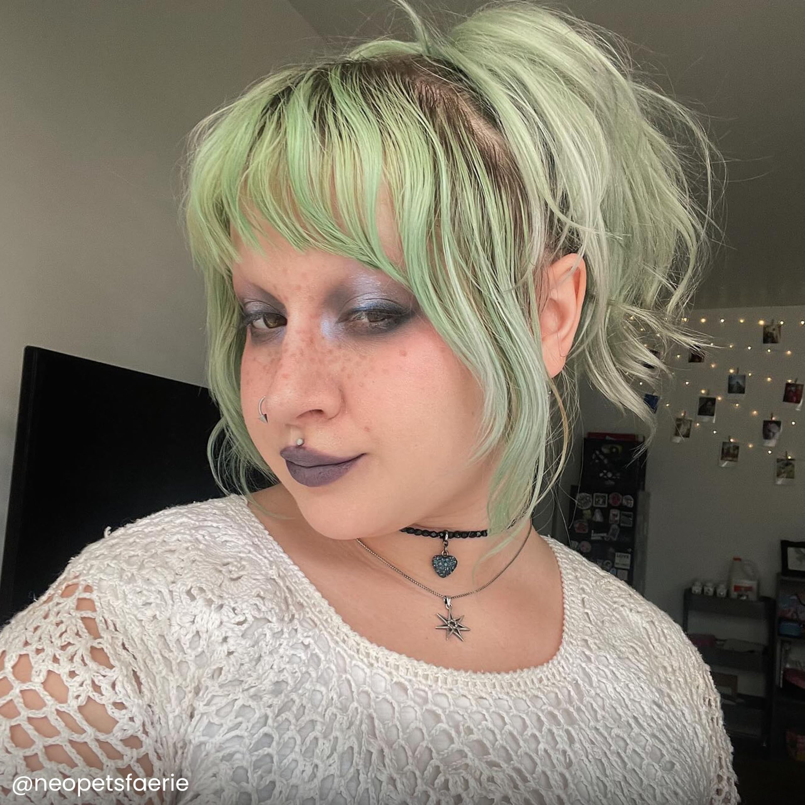 ARCTIC FOX Neverland long-lasting color on silky hair