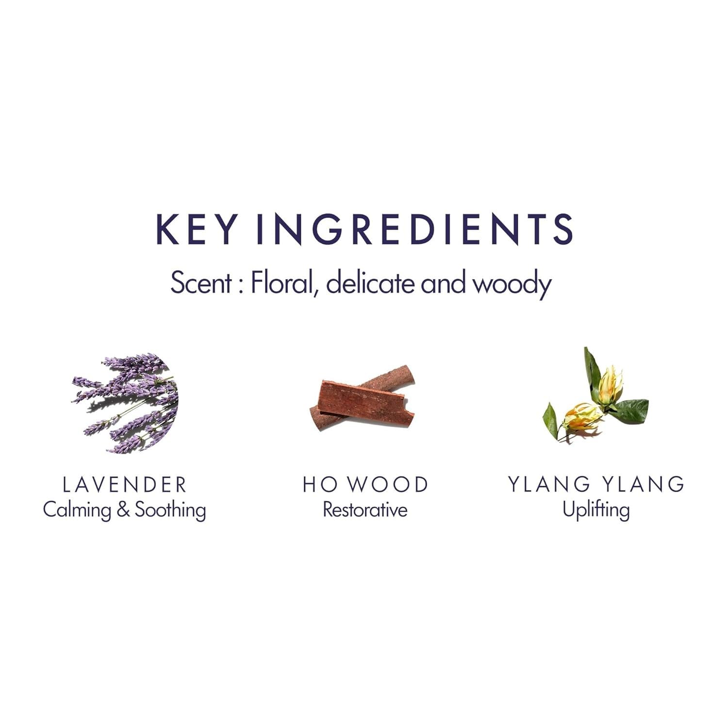 Balance Replenishing Shampoo foam forming a gentle lather