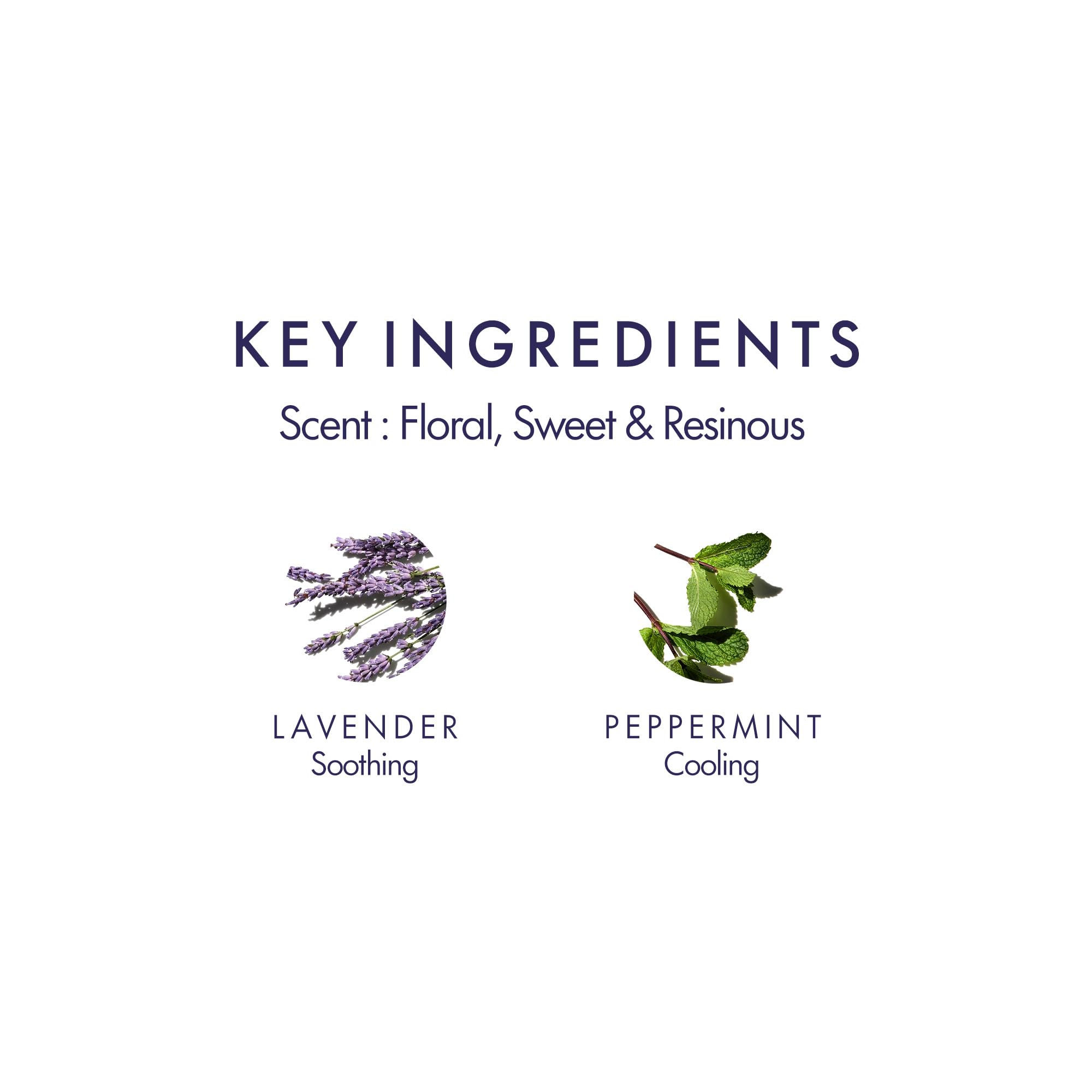 Palm with a droplet of Equilibrium oil and lavender-peppermint scent
