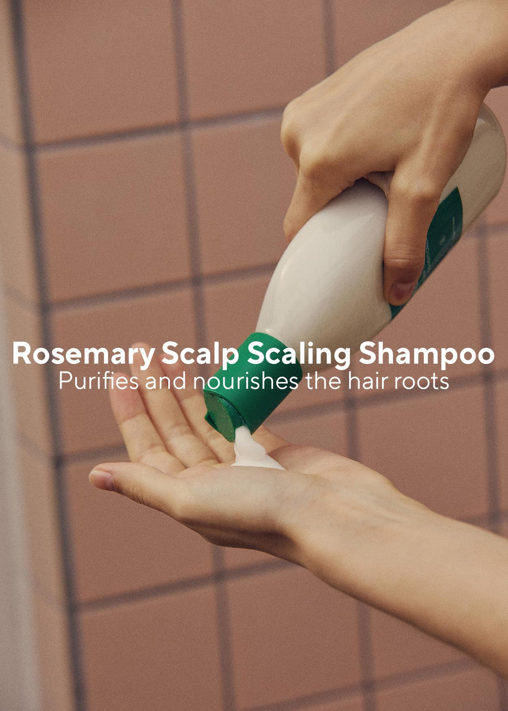 AROMATICA babassu and moringa oil ingredients highlight deep hydration for dry hair.