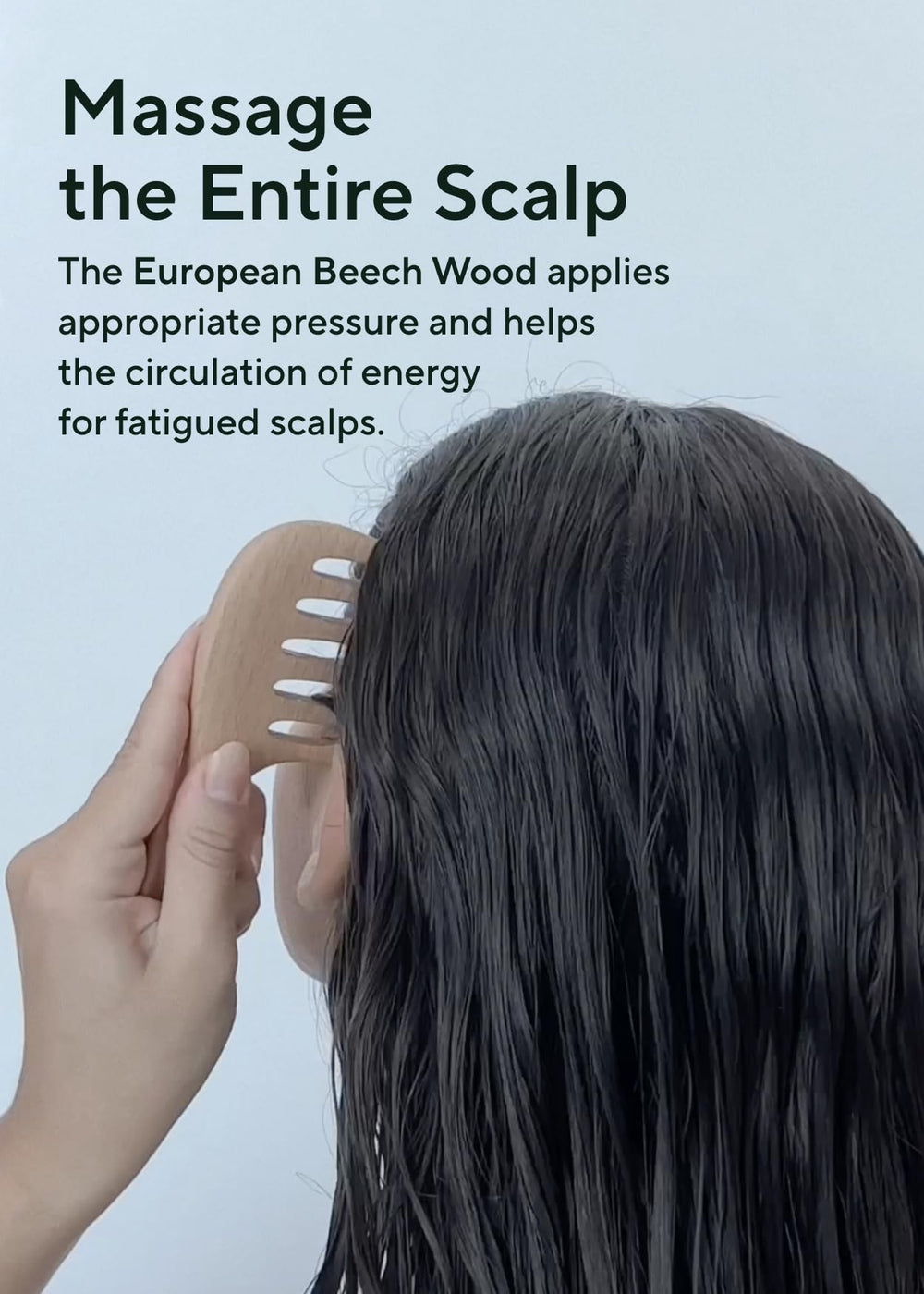 AROMATICA daily routine use for morning and night scalp care.